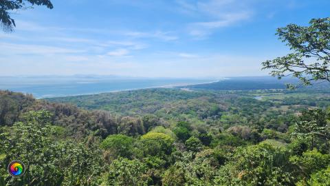 View of lush forest from the top of a mountain in Costa Rica